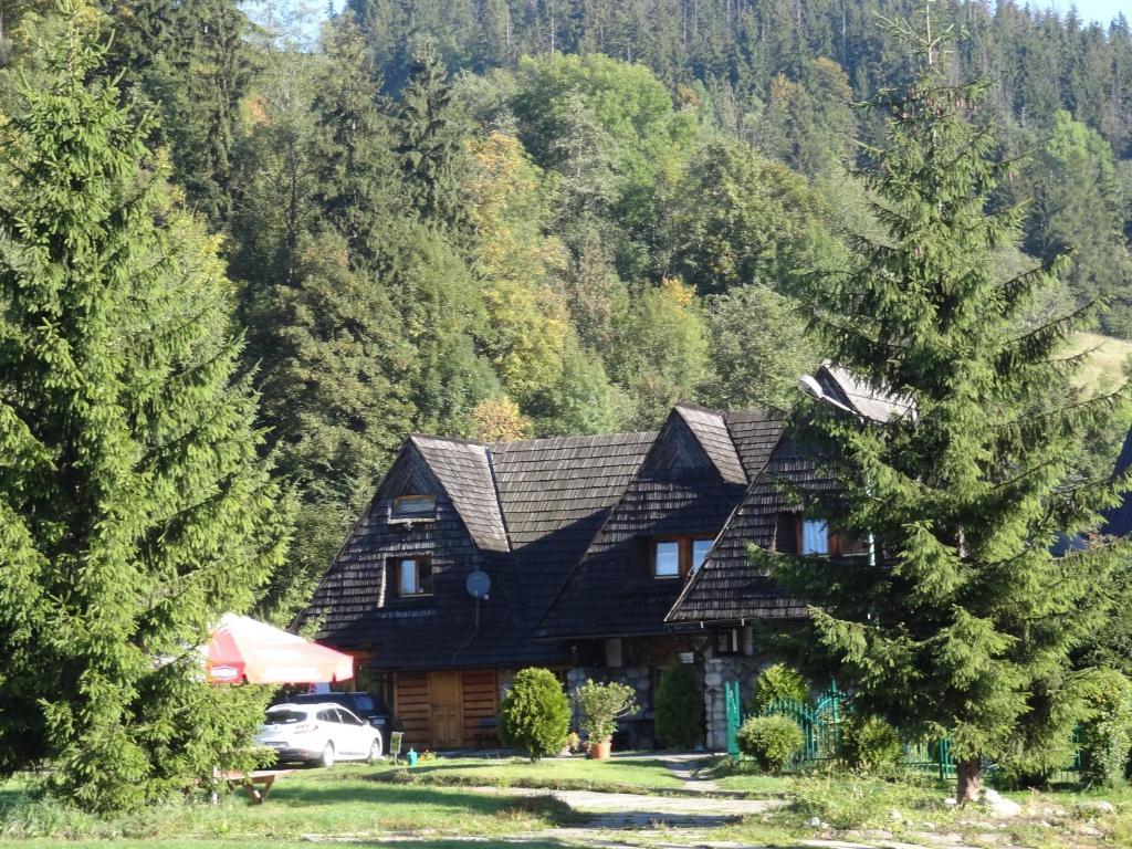 Camping Harenda Pokoje Goscinne I Domki Zakopane Habitación foto