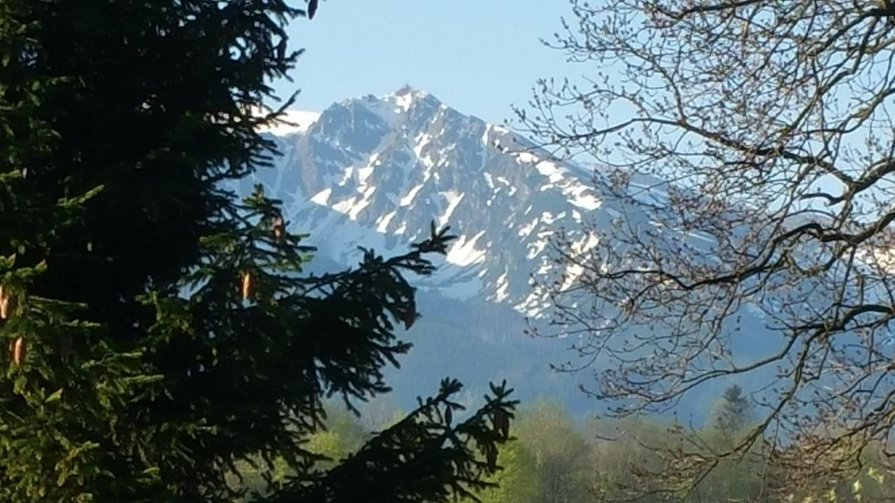 Camping Harenda Pokoje Goscinne I Domki Zakopane Exterior foto